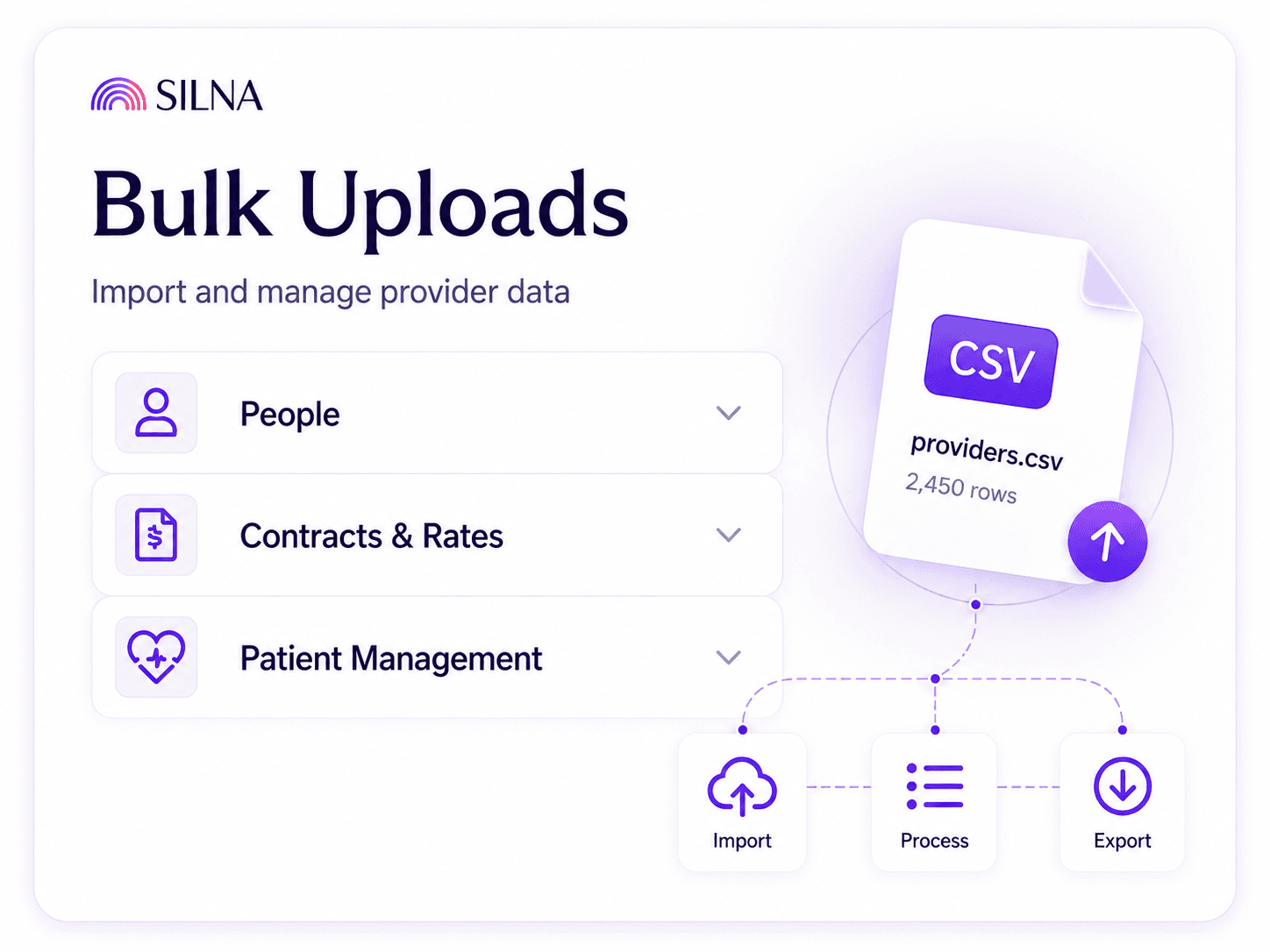 Silna bulk import dashboard